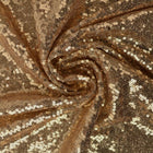 CHAMPAGNE PALJETTYG