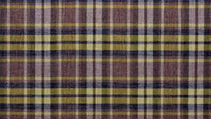 Tartan skotskruta